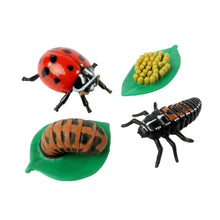 Load image into Gallery viewer, Ladybug Life Cycle Figurines
