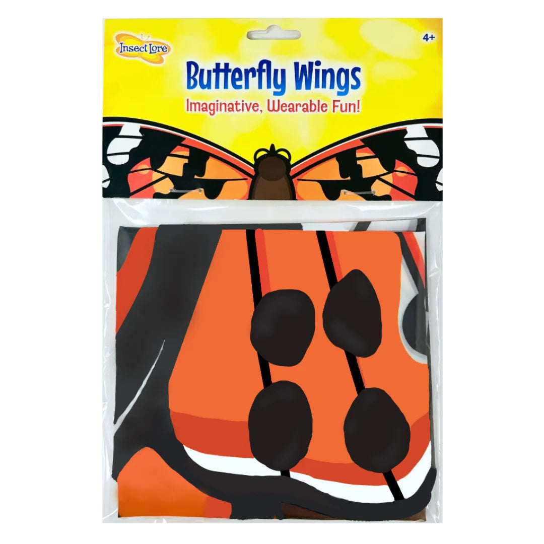 Painted Dress-up Butterfly Wings