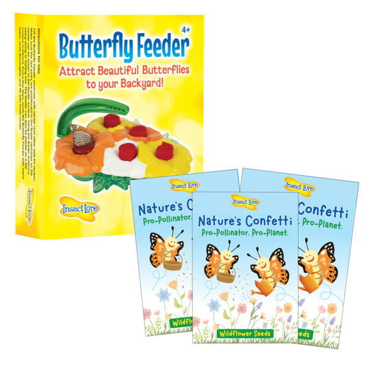 Delux Butterfly Feeder