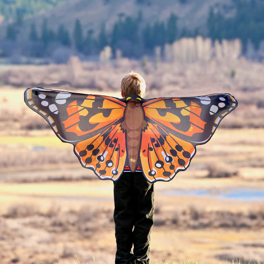 Painted Dress-up Butterfly Wings