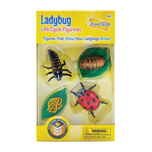 Ladybug Life Cycle Figurines