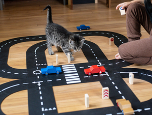 King of the Road- Extra Long Flexible Toy Road with Cars