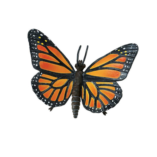 Monarch Butterfly - 542406