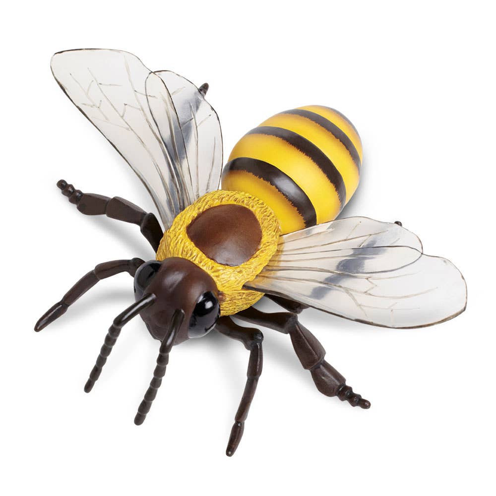 Honey Bee Figure