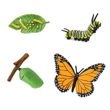 Load image into Gallery viewer, Life Cycle Of A Monarch Butterfly
