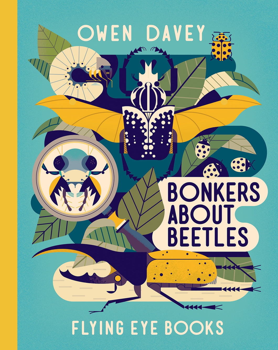 Bonkers About Beetles - Things They Love