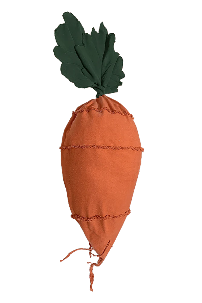 Bean Bag Cathy the Carrot