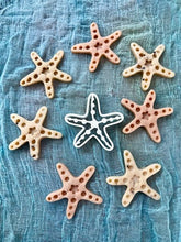 Load image into Gallery viewer, Starfish Dough Cutter
