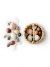 Load image into Gallery viewer, A Dozen Bird Eggs

