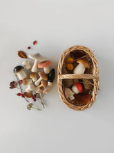 Load image into Gallery viewer, Forest Mushroom Basket
