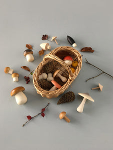 Forest Mushroom Basket