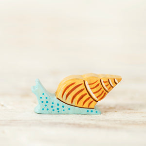Wooden Sea Snail - Things They Love