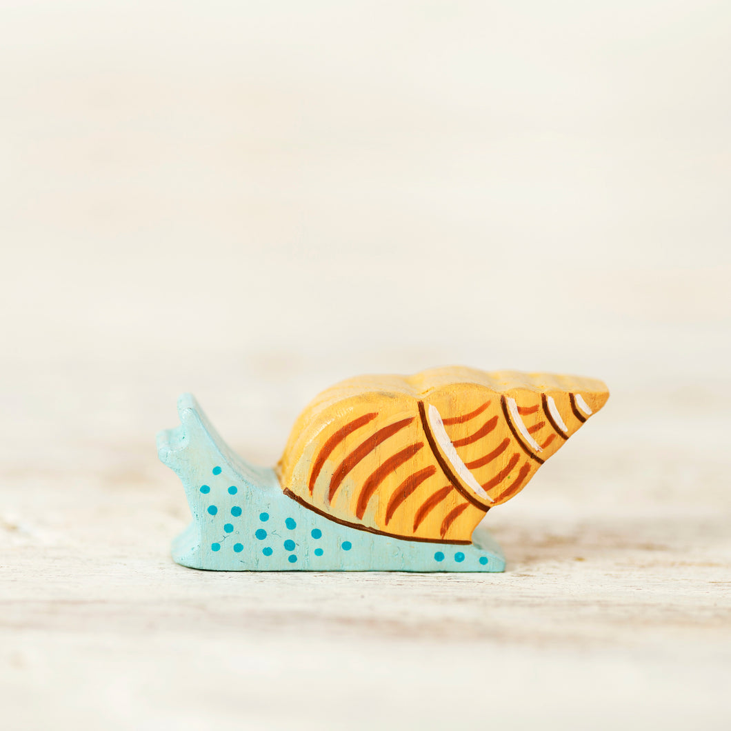 Wooden Sea Snail - Things They Love