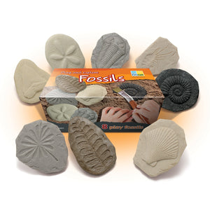 Let's Investigate Fossils - Tactile Stones