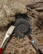 Load image into Gallery viewer, Let&#39;s Investigate Fossils - Tactile Stones
