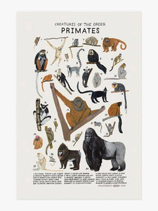 Creatures of the Order  Primates Art Print