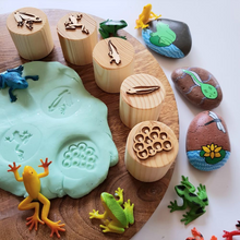 Load image into Gallery viewer, Frog Lifecycle Playdough Stamps
