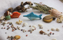 Load image into Gallery viewer, Sea Fishes Set (11 Pieces)
