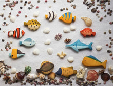 Load image into Gallery viewer, Sea Fishes Set (11 Pieces)
