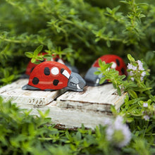 Load image into Gallery viewer, Wooden Ladybug
