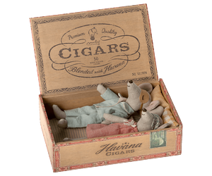 Mum and Dad Mice in Cigar Box Classic