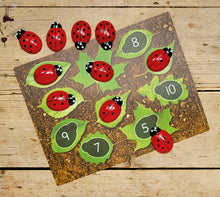 Load image into Gallery viewer, Ladybugs Counting Cards

