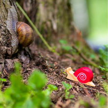 Load image into Gallery viewer, Wooden Snail
